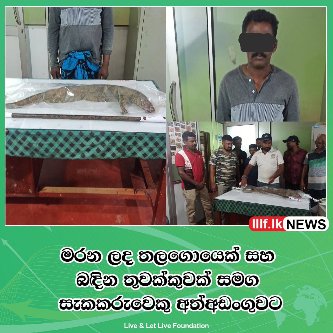 මරන ලද තලගොයෙක් සහ බඳින තුවක්කුවක් සමග සැකකරුවෙකු අත්අඩංගුවට