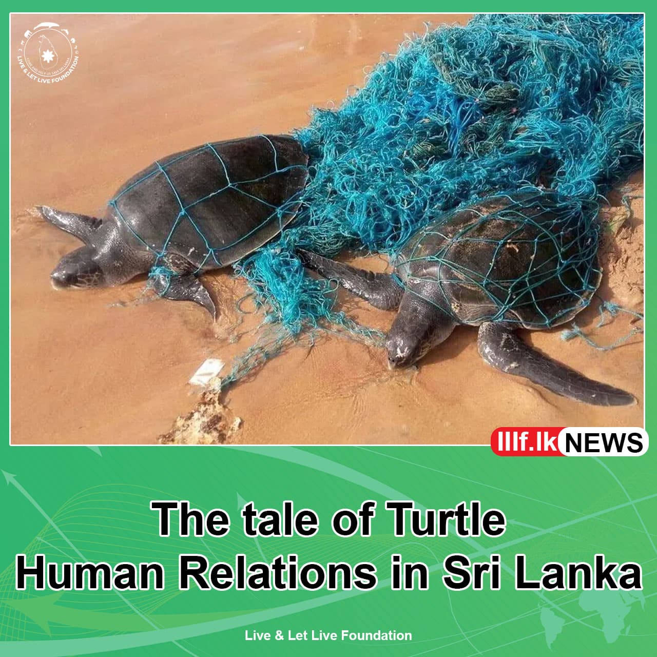 Preyed and protected