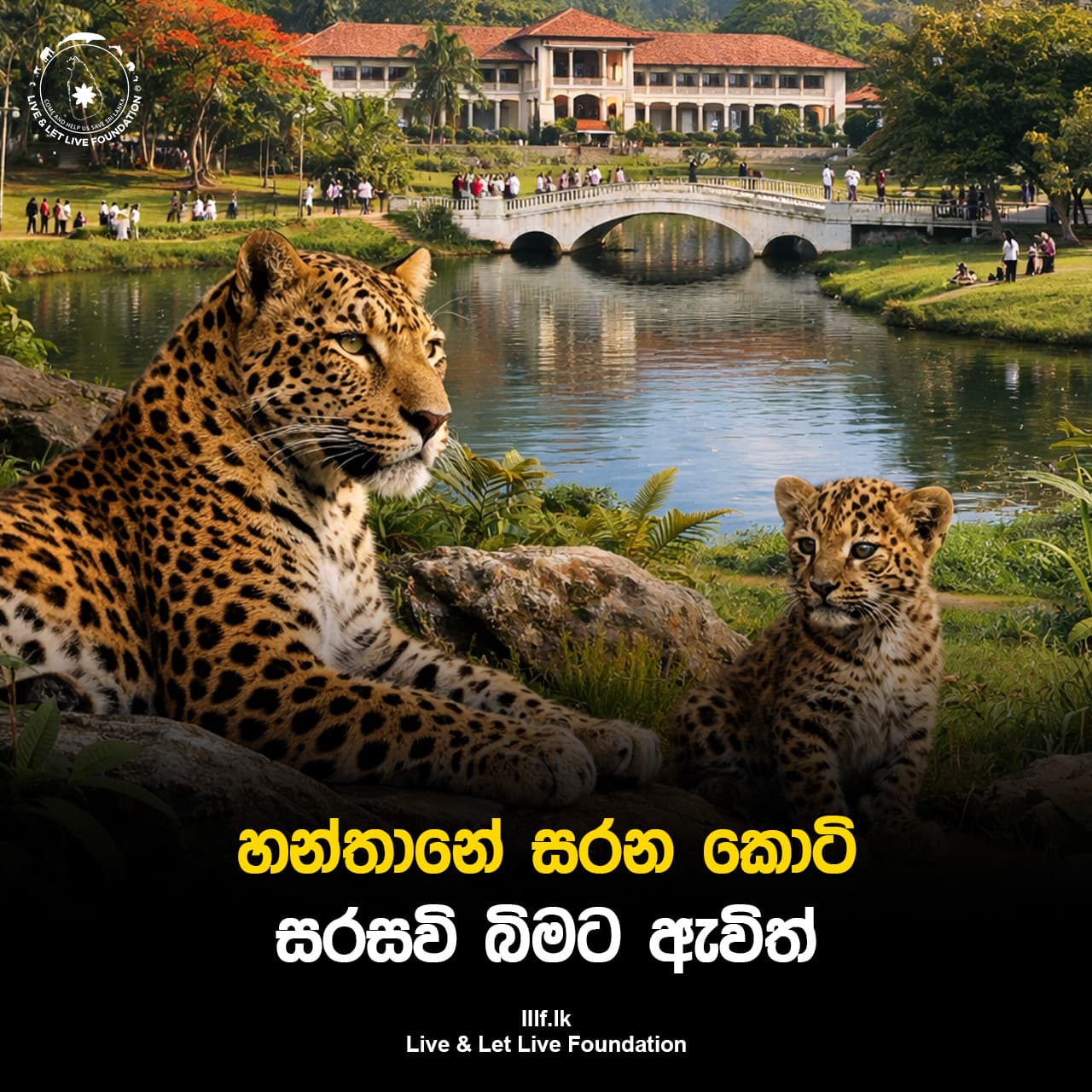 හන්තානේ සරන කොටි සරසවි බිමට ඇවිත්