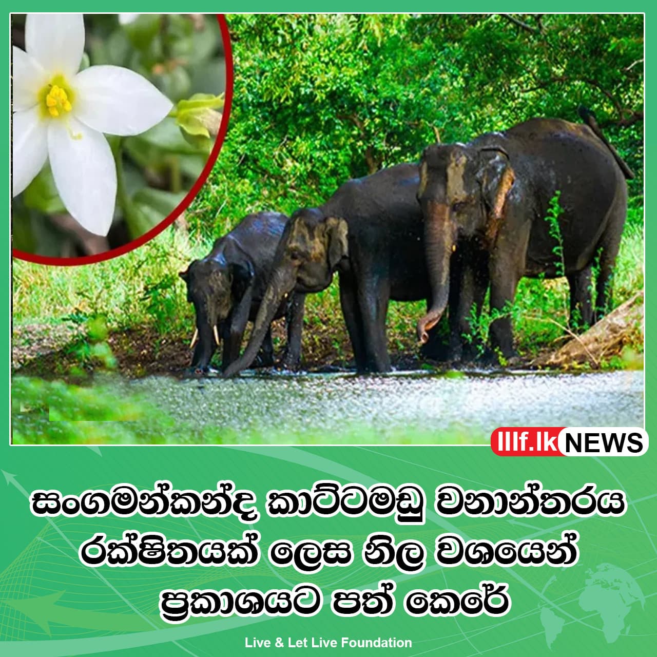 සංගමන්කන්ද කාට්ටමඩු වනාන්තරය  රක්ෂිතයක් ලෙස  නිල වශයෙන් ප්‍රකාශයට පත් කෙරේ