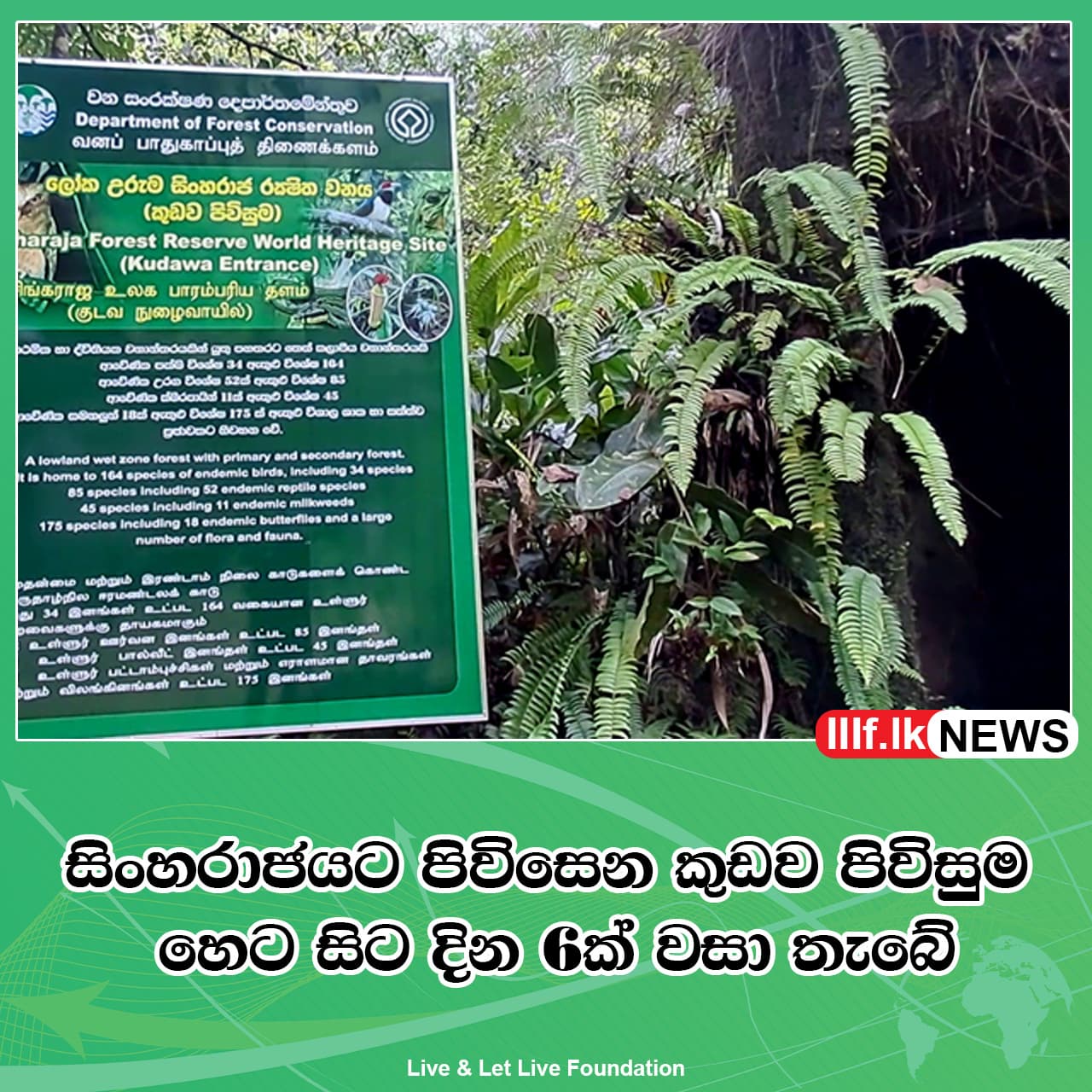 සිංහරාජයට පිවිසෙන කුඩව පිවිසුම හෙට සිට දින 6ක් වසා තැබේ