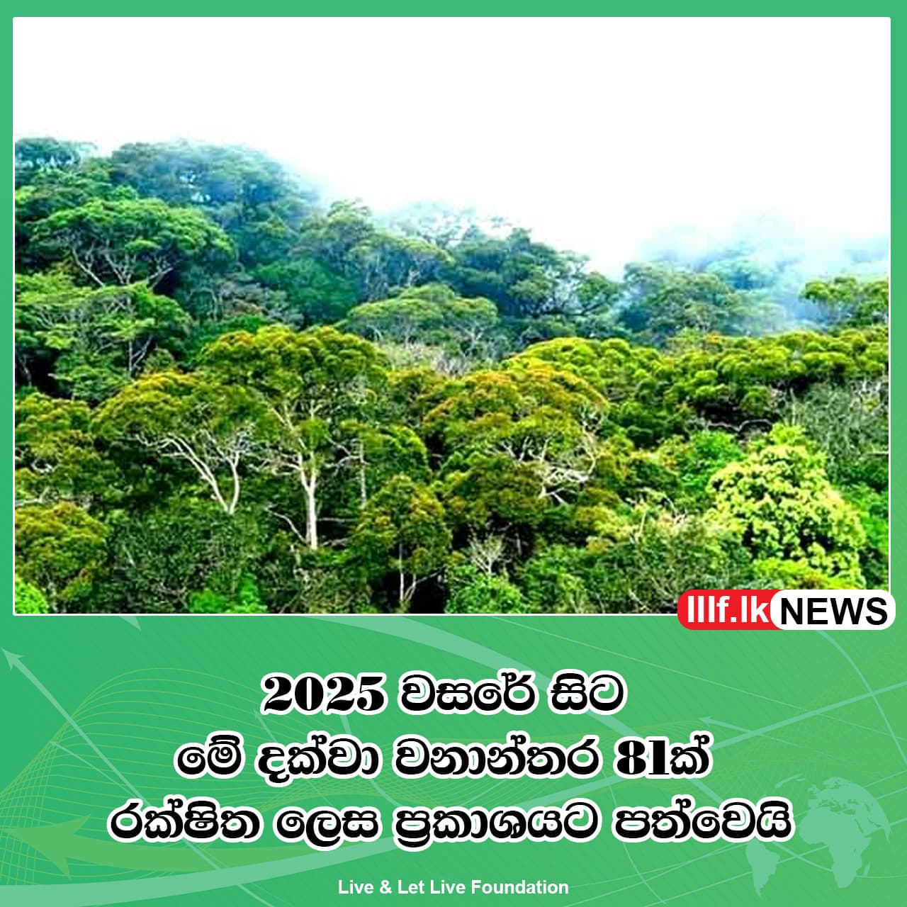 2025 වසරේ සිට මේ දක්වා වනාන්තර 81ක් රක්ෂිත ලෙස ප්රකාශයට පත්වෙයි