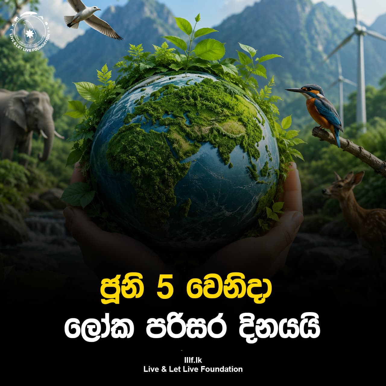 ජූනි 5 වෙනිදා ලෝක පරිසර දිනයයි