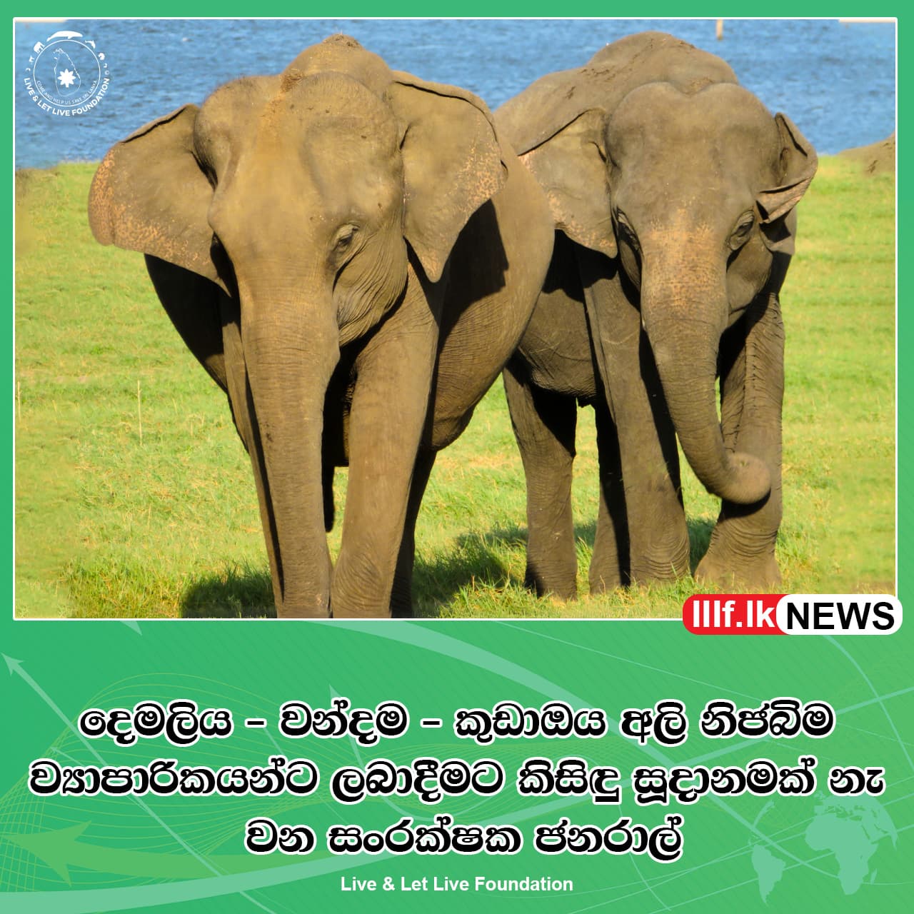 දෙමලිය - වන්දම - කුඩාඔය අලි නිජබිමට හා අලිමංකඩට අයත් ඉඩම් ව්යාපාරිකයන්ට ලබාදීමේ කිසිදු ඉල්ලීමක් වන සංරක්ෂණ දෙපාර්තමේන්තුවට ලැබී නැති බව වන සංරක්ෂක ජනරාල් ඩබ්ලිව්.ඩබ්ලිව්.එම්.පී.එස්.සී. පාලම්කුඹුර මහතා පැවසීය.