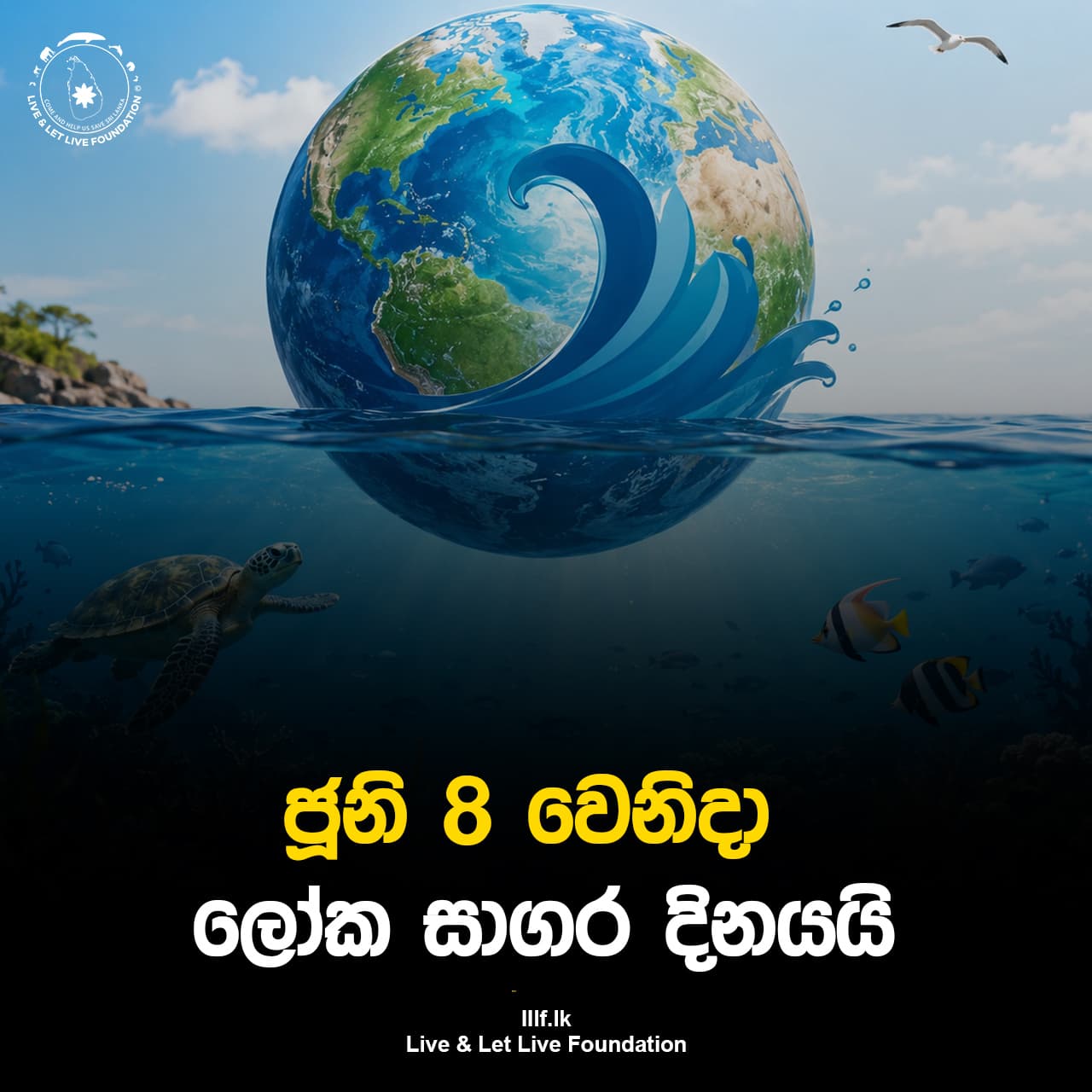 ජූනි 8 වෙනිදා ලෝක සාගර දිනයයි