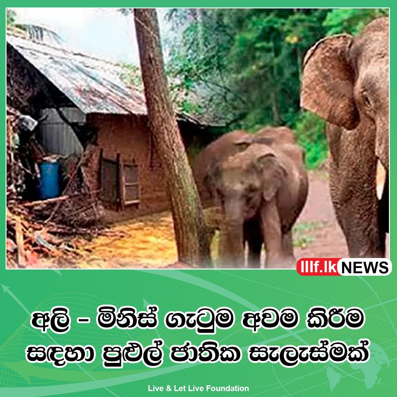 අලි-මිනිස් ගැටුම අවම කිරීම සඳහා නව රජය කාල රාමු තුනක් ඔස්සේ ක්රියාත්මක වන පුළුල් ජාතික සැලැස්මක්
