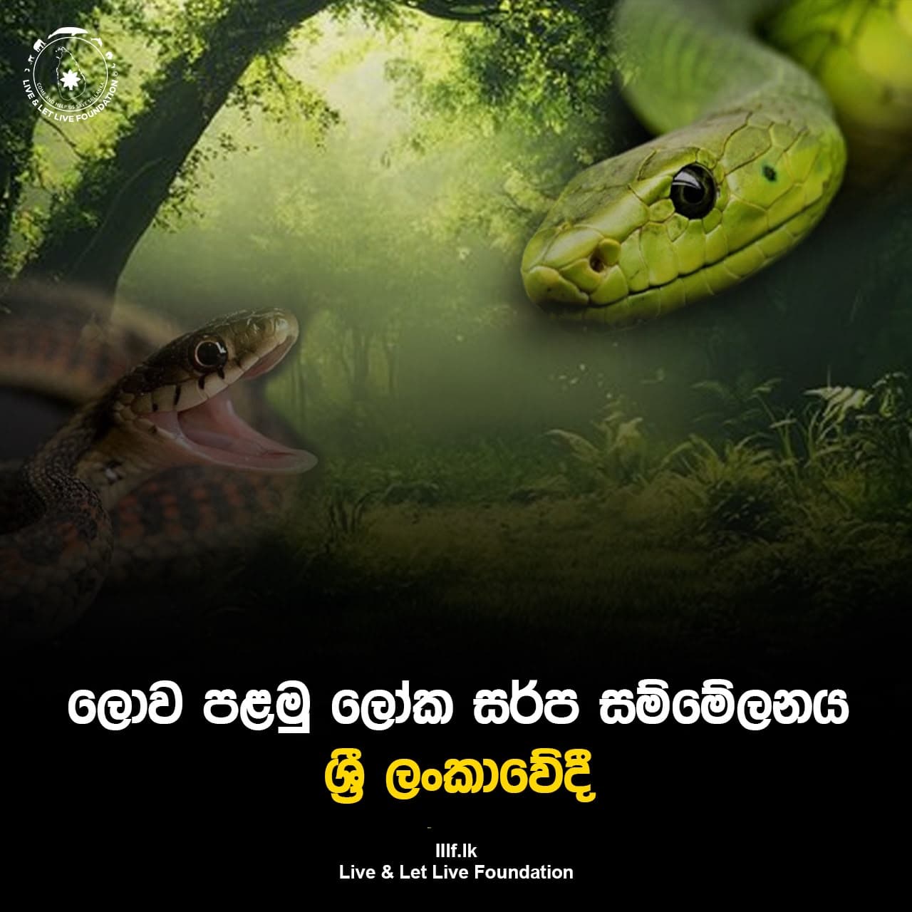 ලොව පළමු ලෝක සර්ප සම්මේලනය ශ්රී ලංකාවේදී
